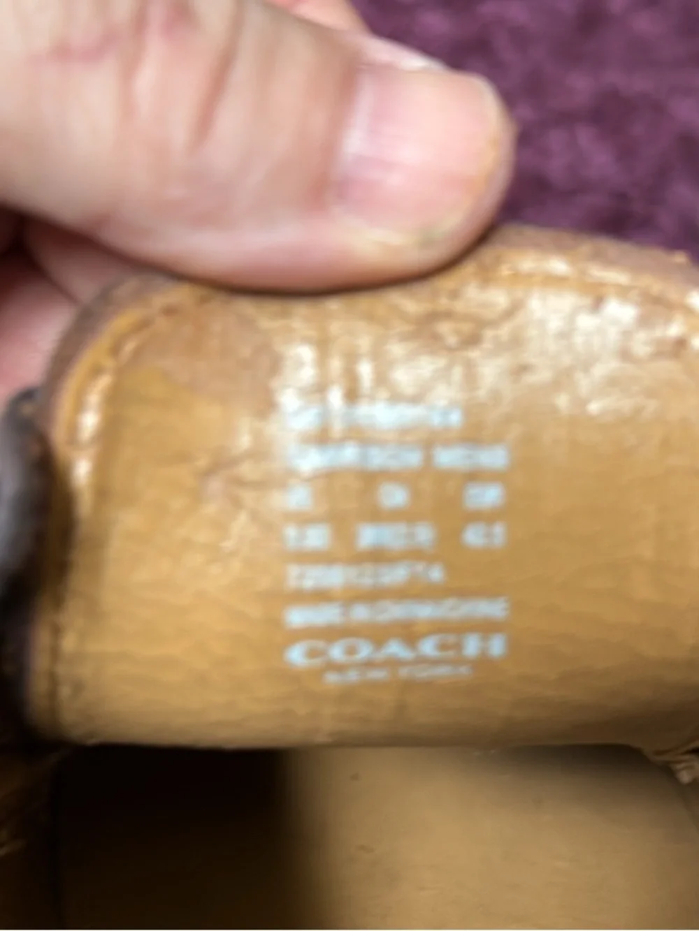 Coach elegant dark